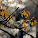 Einbrüche und Diebstähle in Ferienhäusern - wie kann man sich schützen?