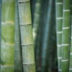 Natur in Hülle und Fülle: Natürliche Produkte, die wir auch im Ferienhaus nutzen können